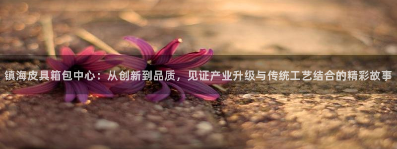 辉达娱乐可靠