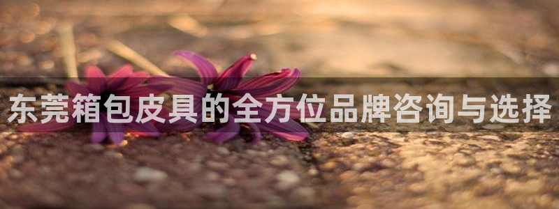 辉达娱乐下载