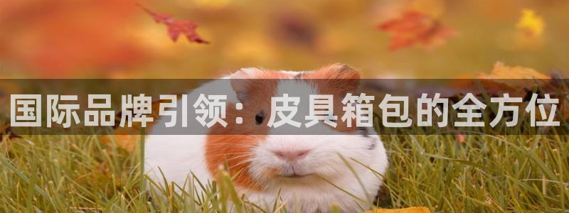 辉达娱乐己39444