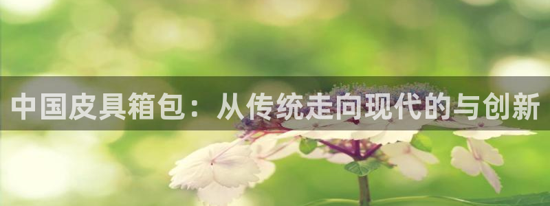 辉达平台注册资金多少