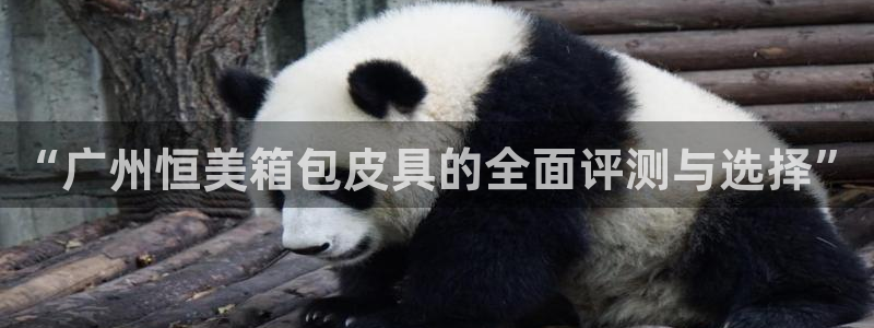 辉达娱乐加q75775稳定