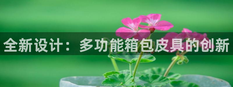 辉达娱乐网址