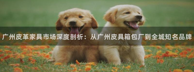 辉达娱乐多少年