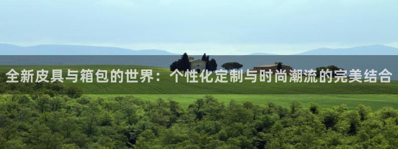 达利娱乐王辉