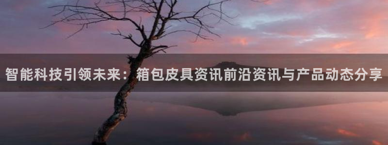 辉达娱乐多少年