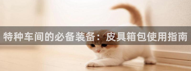 辉达怎么样