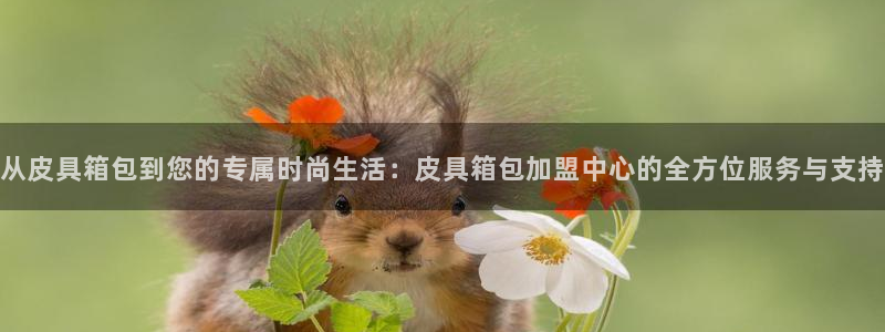辉达娱乐最新版本更新内容