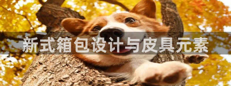 辉达娱乐多少年
