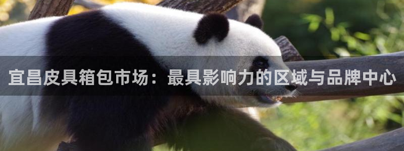 辉达娱乐丿75505