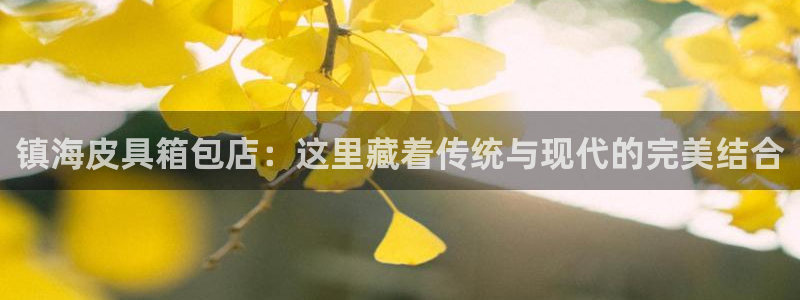 辉达娱乐丿39444