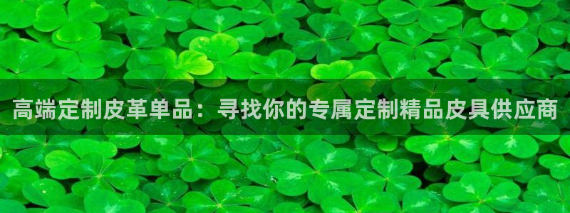 辉达娱乐总部