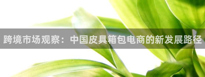 辉达娱乐123123