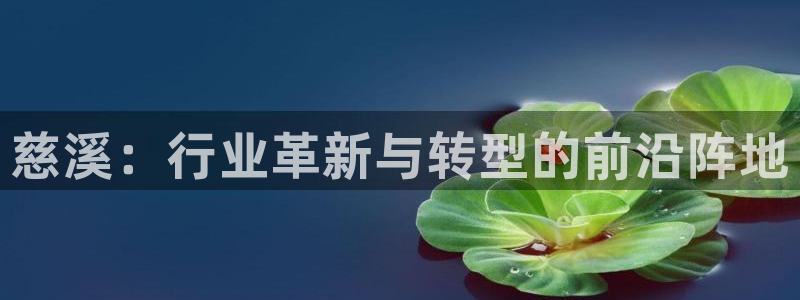 辉达娱乐官方网址