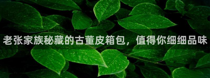 辉达娱乐游戏.直开.中国