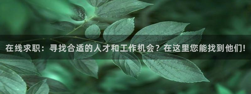 辉达娱乐官方网址