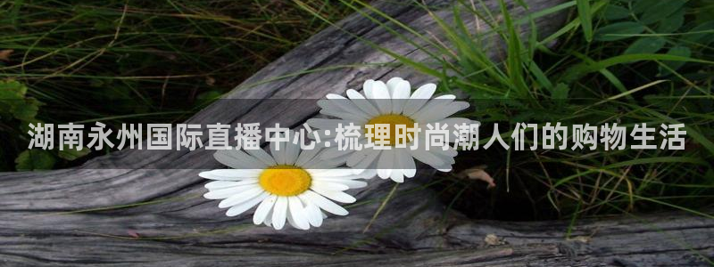 辉达娱乐ag游戏平台