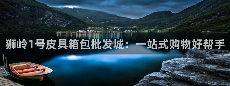 龙腾辉达电子娱乐