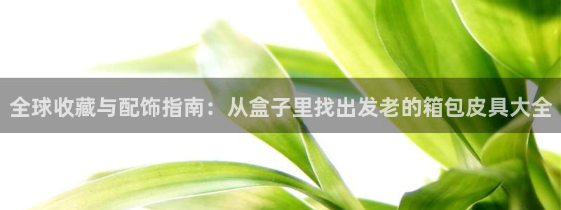 辉达娱乐官方网址