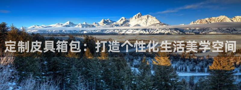 辉达娱乐最新消息新闻