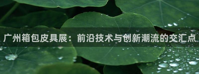 辉达娱乐检测