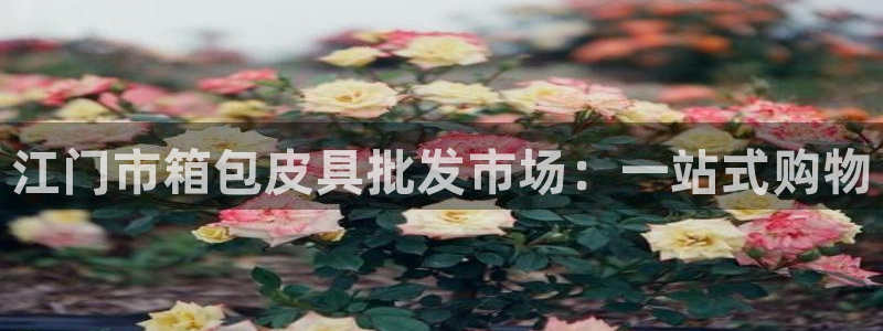 辉达娱乐可靠