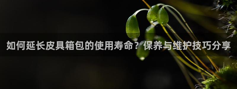 辉达娱乐重庆时时彩
