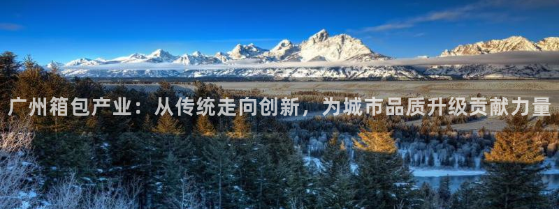 辉达娱乐福彩