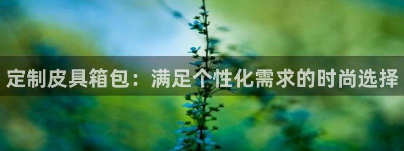 辉达娱乐