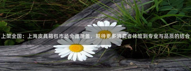 辉达娱乐广东11选5