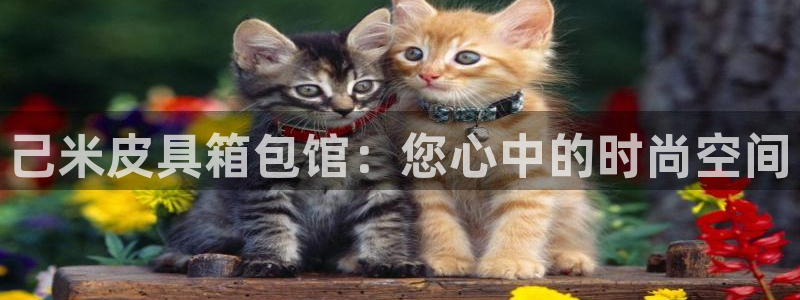 辉达娱乐最新现状