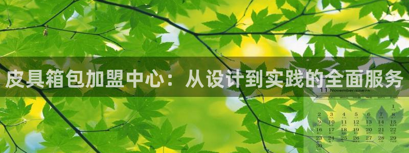 辉达娱乐最新版本更新内容