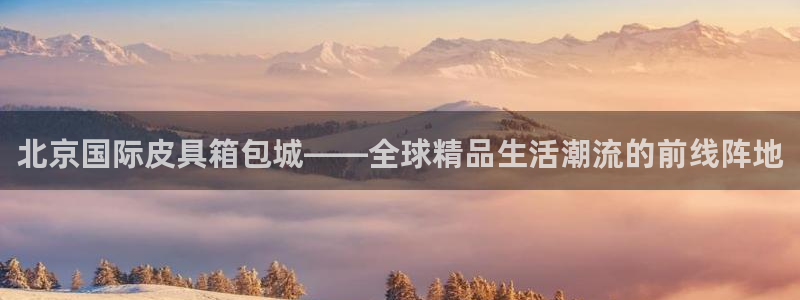 辉达娱乐招商