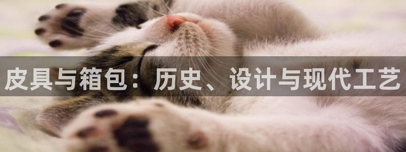 辉达娱乐下载