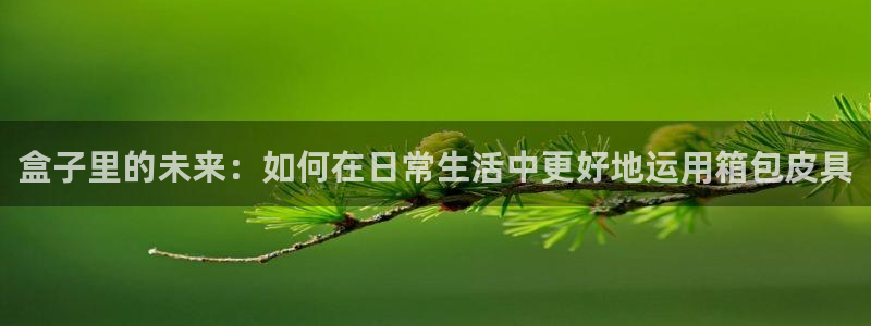 辉达平台娱乐怎么样