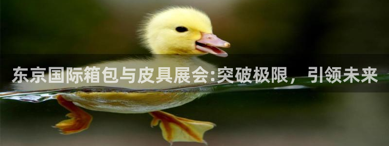 辉达娱乐兼职