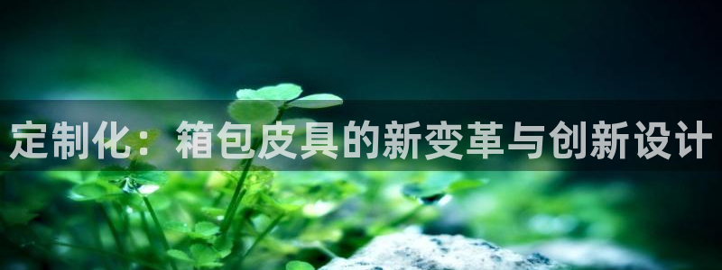 辉达娱乐下载