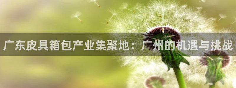 辉达集团官方网站