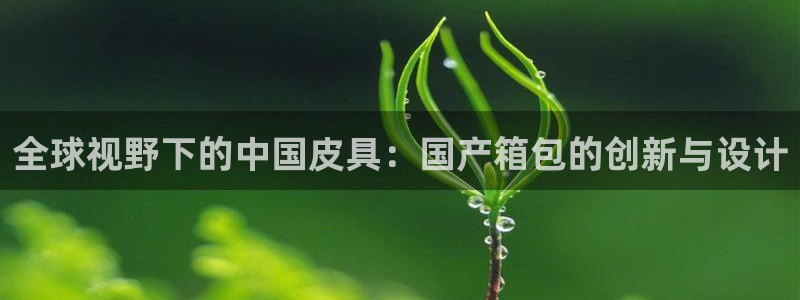 辉达娱乐分红