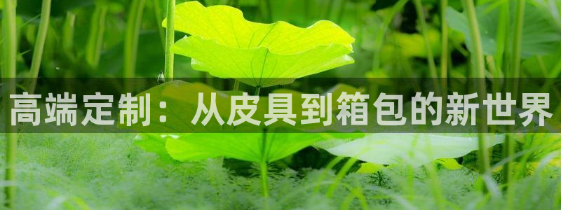辉达娱乐电子