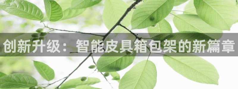 龙腾辉达电子娱乐