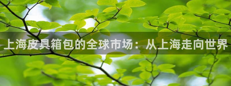 辉达娱乐公司