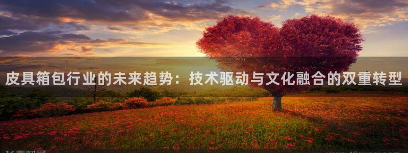 专业辉达娱乐官方网址