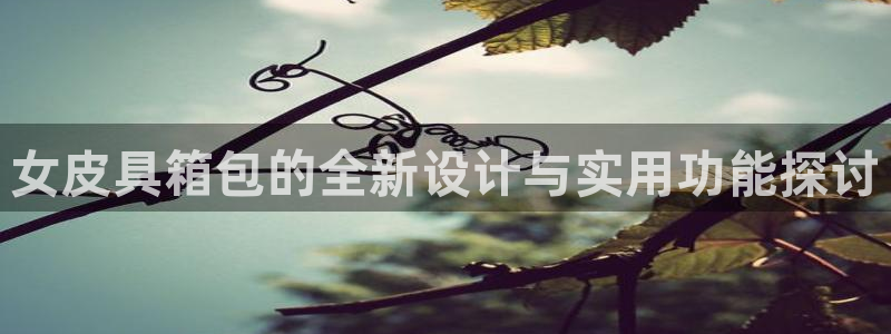 辉达娱乐丶75505