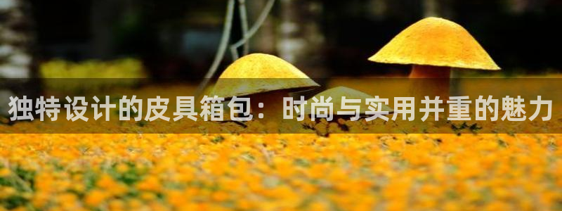 辉达娱乐电子游艺