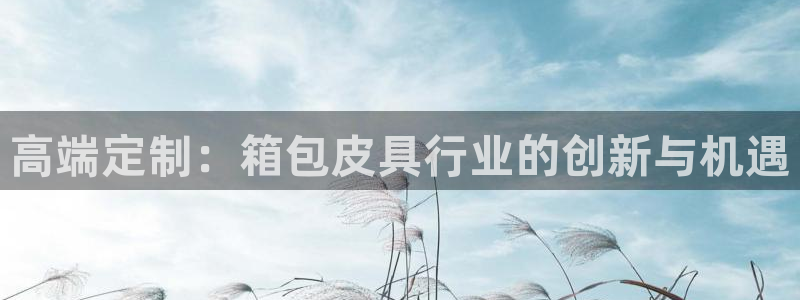 正规辉达娱乐开户注册