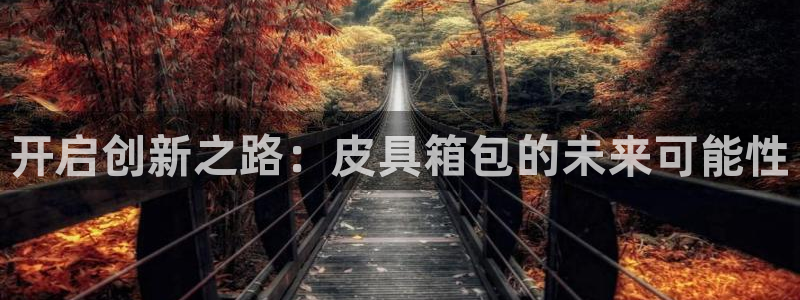 辉达平台娱乐怎么样