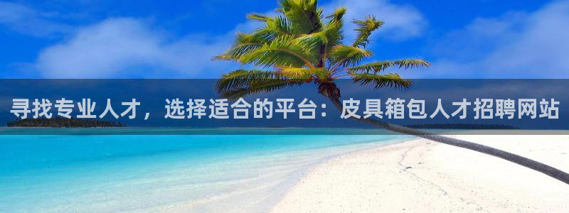 辉达怎么样