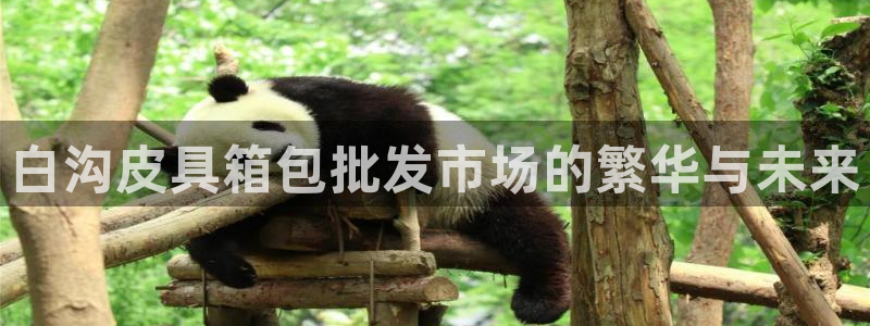 辉达娱乐时时彩