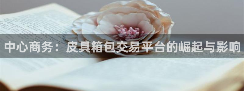 辉达娱乐最新消息新闻