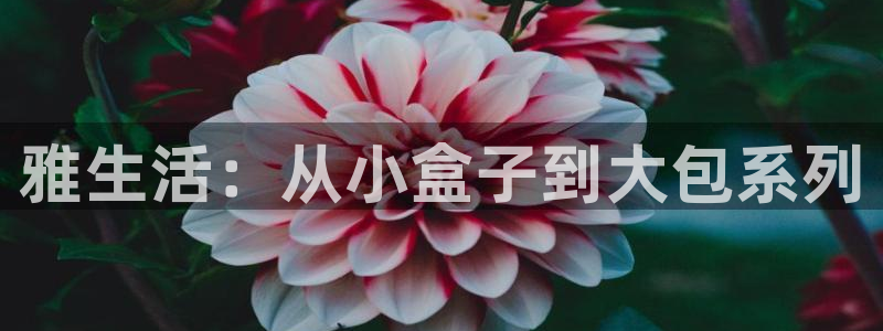 辉达娱乐多少年